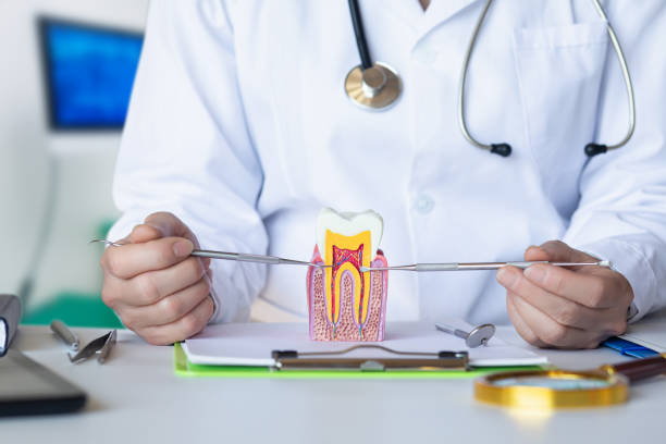 Best Urgent Tooth Repair  in Charleston, MS